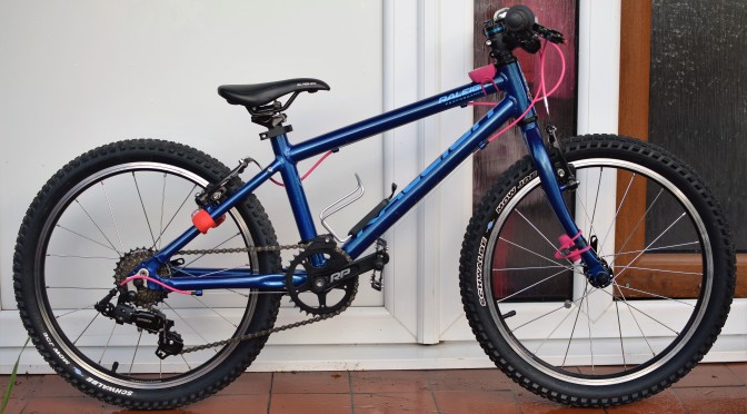 Raleigh Performance 20 – Review – Upgrades and Necessary Changes